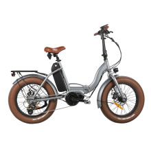 Electric Bike Fat Tire Ebike Mountain Bicycle with Middle Drive High Power Motor